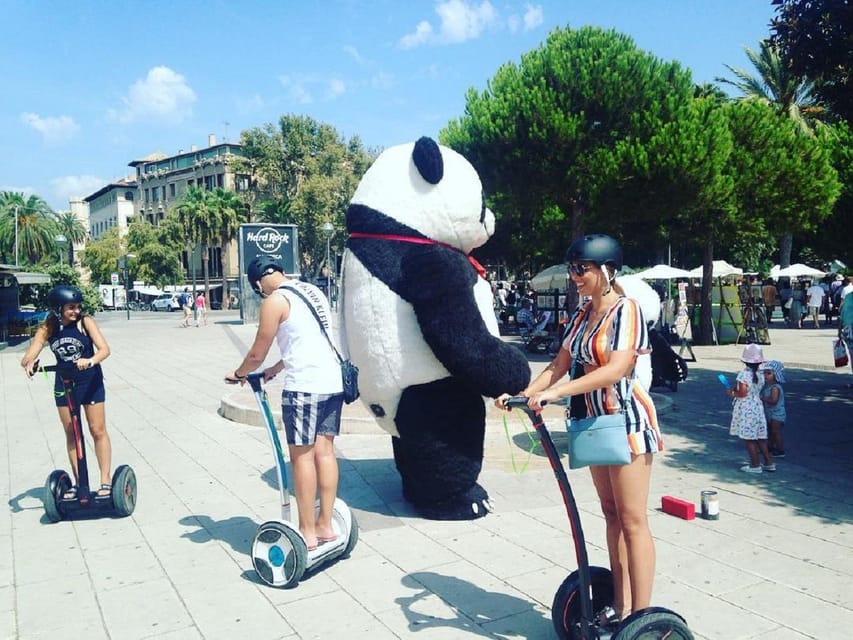 1 Hour Segway tour in Palma de Mallorca - Rules, clothing, and practical comfort