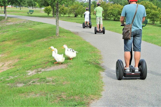 2-Hour Guided Segway Tour of Huntington Beach State Park in Myrtle Beach - Riding beside the freshwater lake