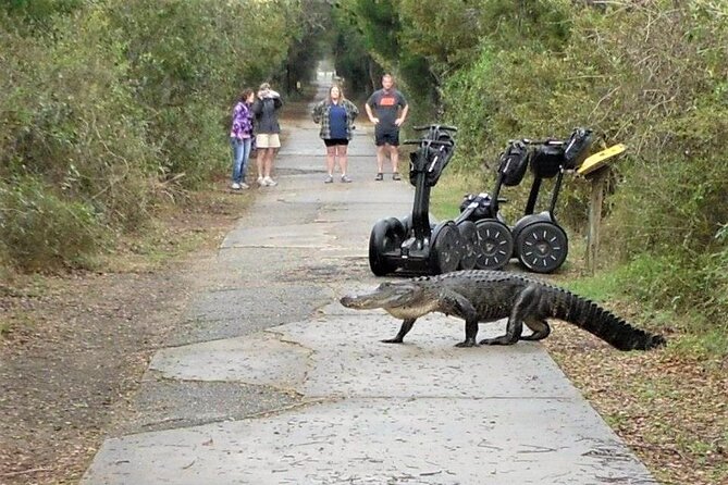 2-Hour Guided Segway Tour of Huntington Beach State Park in Myrtle Beach - How much ground you cover in two hours