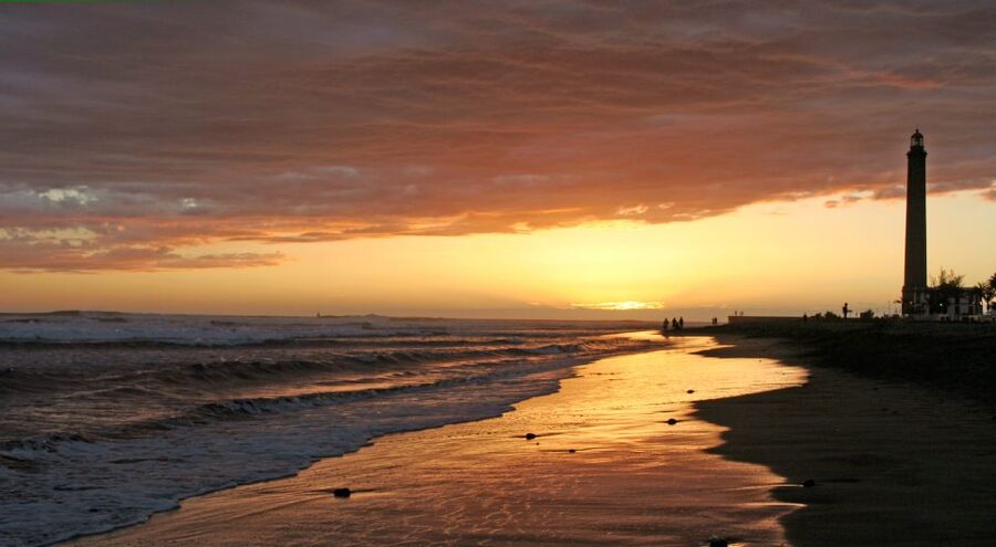 2-Hour Segway Tour: Maspalomas Dunes, Playa Ingles,S.Agustin - Starting at Bici Bike Vintage in Cita Shopping Center