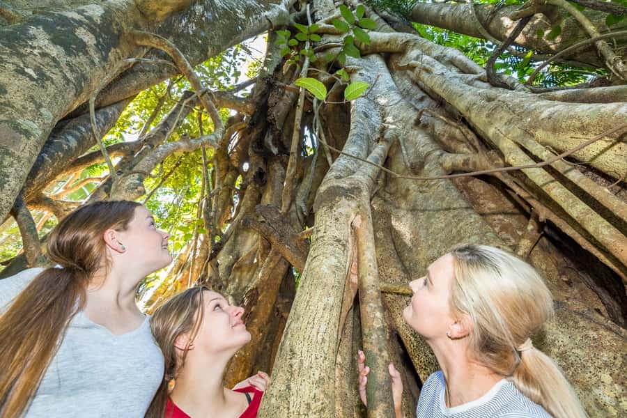 Airlie Beach: Segway Rainforest Discovery Tour - Key points to know before you book