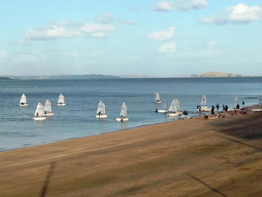 Auckland: Devonport Waterfront Segway - What You Get for $41