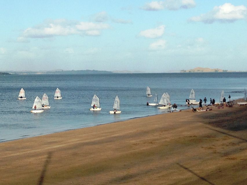 Auckland: Devonport Waterfront Segway - Who Should Book This Activity?