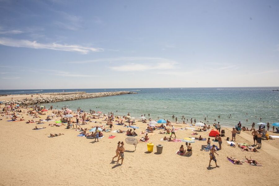 Barcelona: 2-Hour City Sights Guided Segway Tour - The pace, guides, and group setup