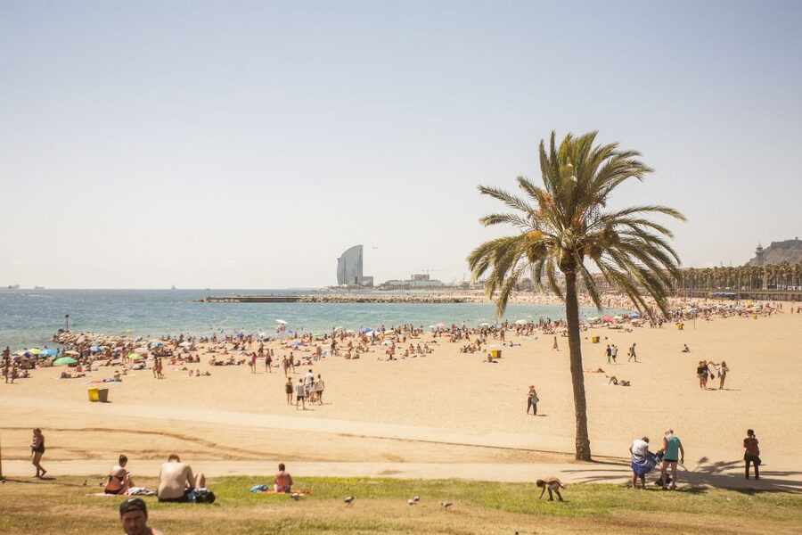 Barcelona: 3-Hour Segway Sightseeing Tour - The Olympic waterfront and open beaches
