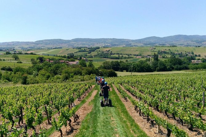 Beaujolais Segway Tour with Wine Tasting - Why this Beaujolais ride works so well
