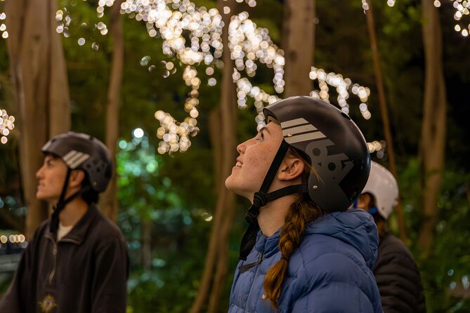 Brisbane Segway Sightseeing Tour - South Bank Parklands and the Wheel of Brisbane