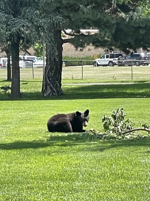 Cheyenne Cañon Art and Nature Segway Tour - What this Cheyenne Cañon tour is really like