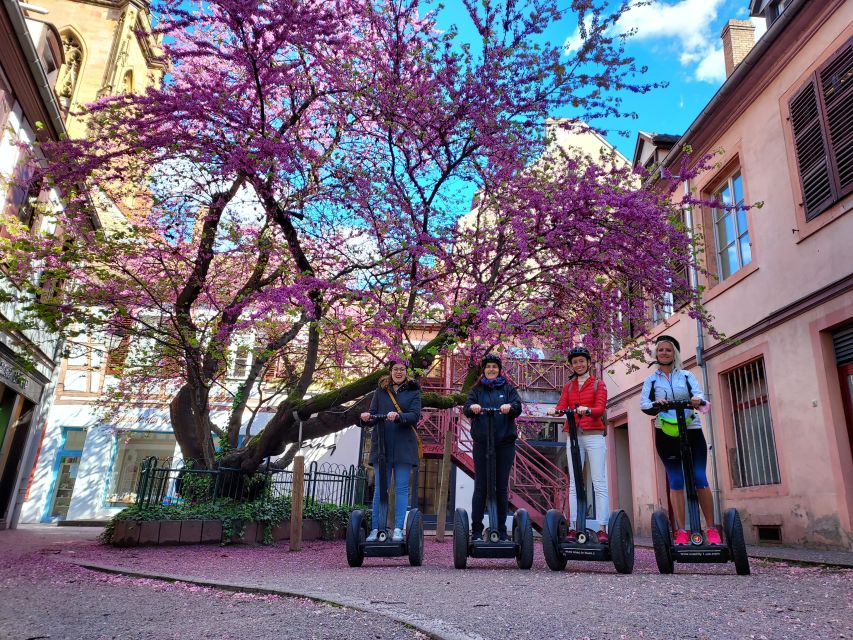 Colmar: 2-Hour Segway Tour - Guides, group size, and the feel of the ride