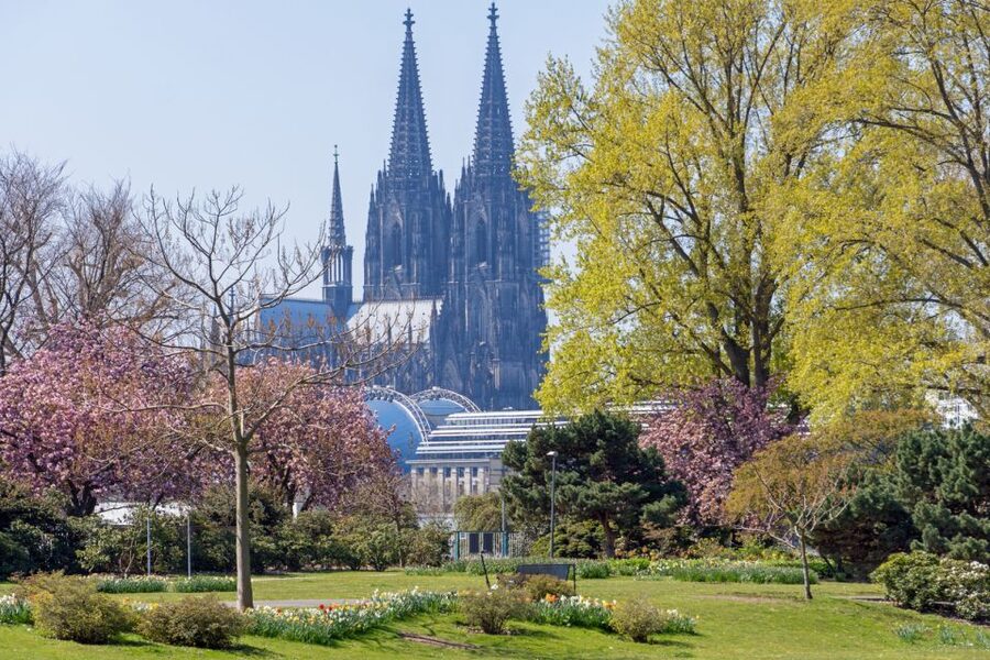 Cologne: City Highlights Segway Tour - Old Cologne through Heumarkt and Alter Markt