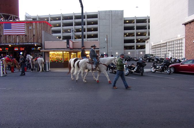 Downtown Las Vegas Evening Tour by Segway - What the guides add to the ride