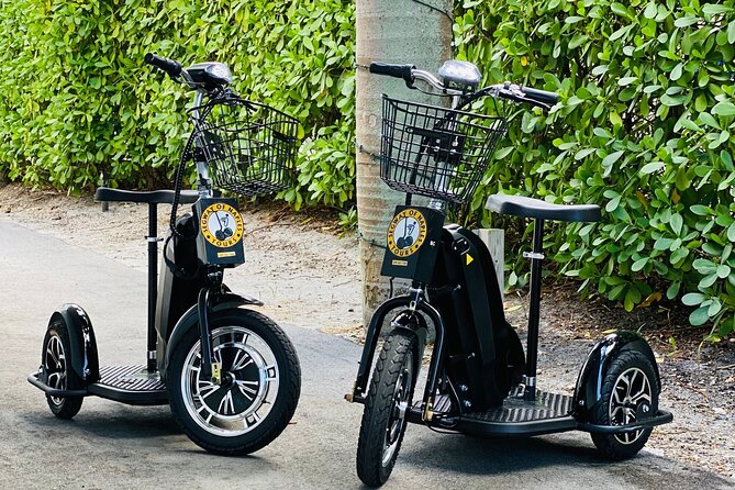 Explore Naples on a Guided Segway Tour - Rolling Toward Crayton Cove and Naples City Dock