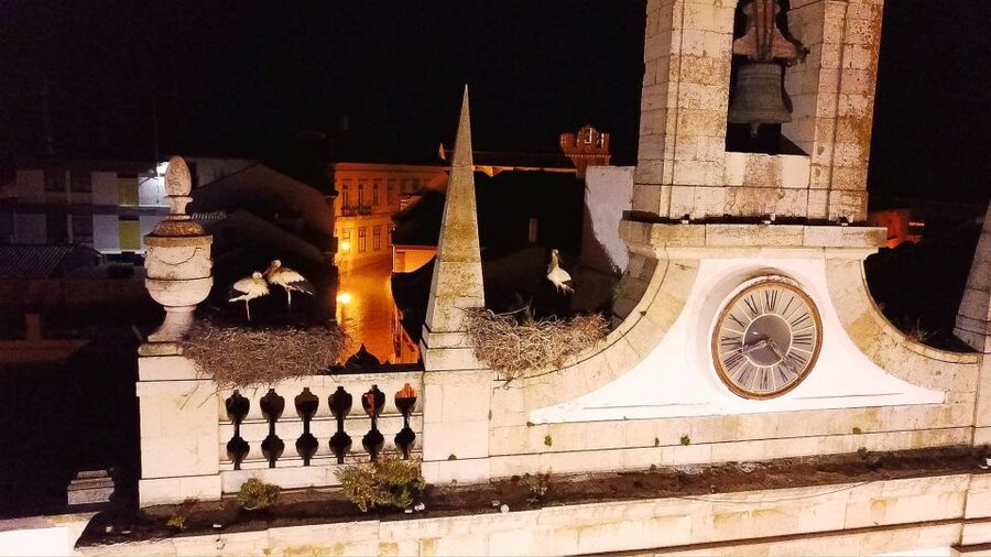 Faro: Night Segway Tour with Cocktails - Faro’s monuments with stories in motion