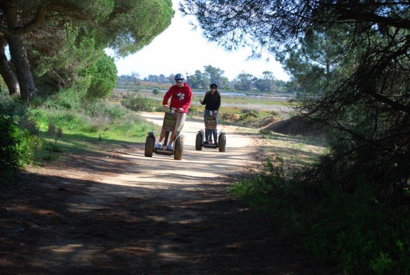 Faro: Ria Formosa Natural Park Segway Tour & Birdwatching - Key points to know before booking