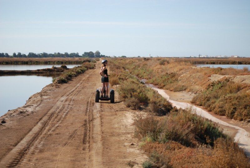 Faro: Ria Formosa Natural Park Segway Tour & Birdwatching - Riding toward Ludo and the park’s wildlife