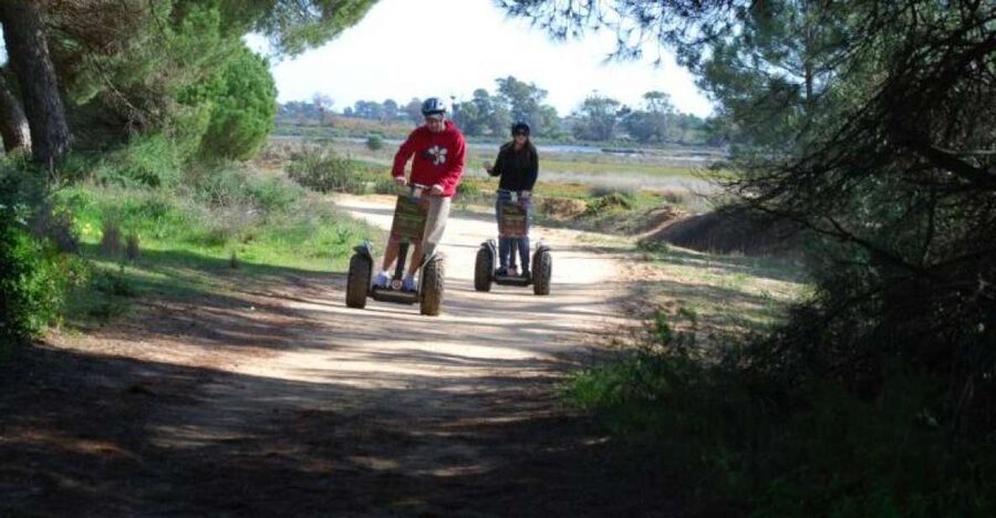 Faro: Ria Formosa Natural Park Segway Tour & Birdwatching - Birdwatching in spring, autumn, and the quieter months