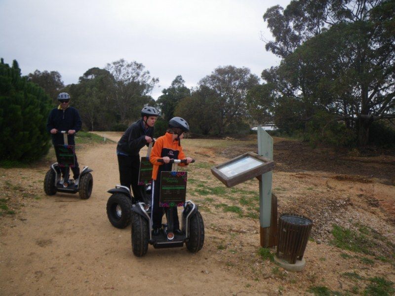 Faro: Ria Formosa Natural Park Segway Tour & Birdwatching - Salt pans, marine life, and small details