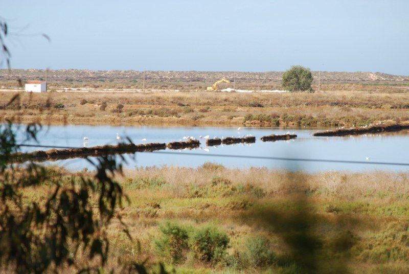 Faro: Ria Formosa Natural Park Segway Tour & Birdwatching - The meeting point near Faro Beach