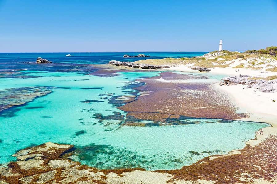 From Perth or Fremantle: Rottnest Explorer Segway Tour - How much value do you get for $130?