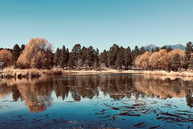 Fun Flagstaff History Segway Tour - The park, pond, and Lowell Observatory views
