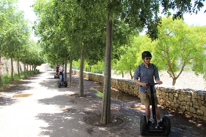 Fun Private Segway Tour in Valencia - Is $42.33 per person good value?