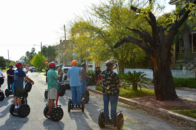 Galveston Tree Carvings Segway Tour - The guides shape the whole experience