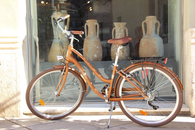 GRAND CITY Private Guided Tour on Bike, E-Bike, E-Step or Segway - Plaza de la Mare de Deu and Plaza de la Reina