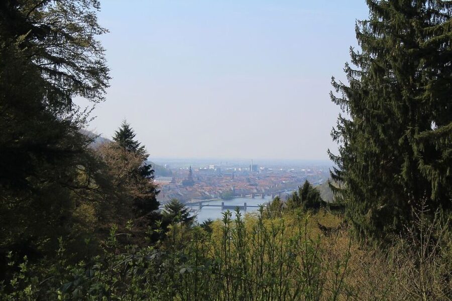 Heidelberg Highlights Segway Tour with Castle - Key points to know before you book