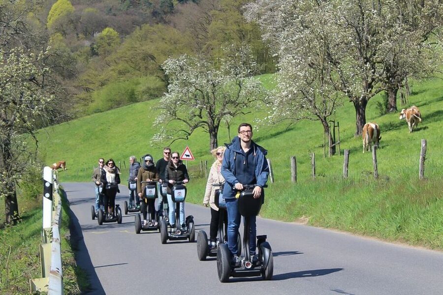 Heidelberg Highlights Segway Tour with Castle - Across Heidelberg’s Old Bridge to Neuburg Abbey