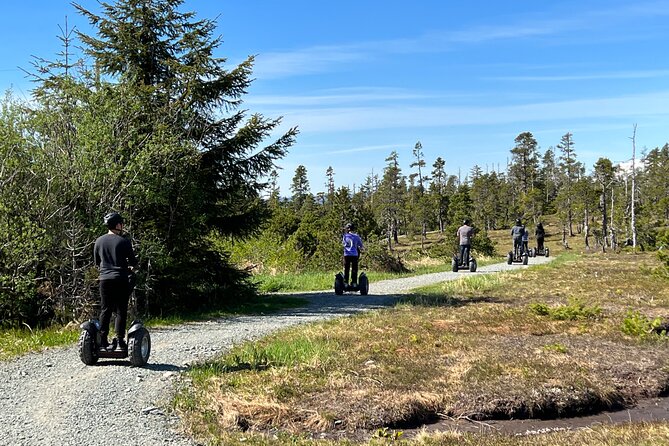 Juneau Alpine Segway Wilderness Trail Adventure - A 10-minute walk into old-growth forest