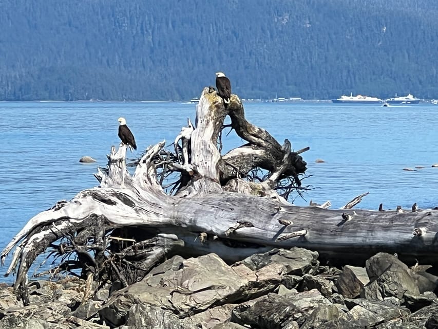 Juneau: Rainforest Photo Safari on a Segway - Who will enjoy this Juneau outing