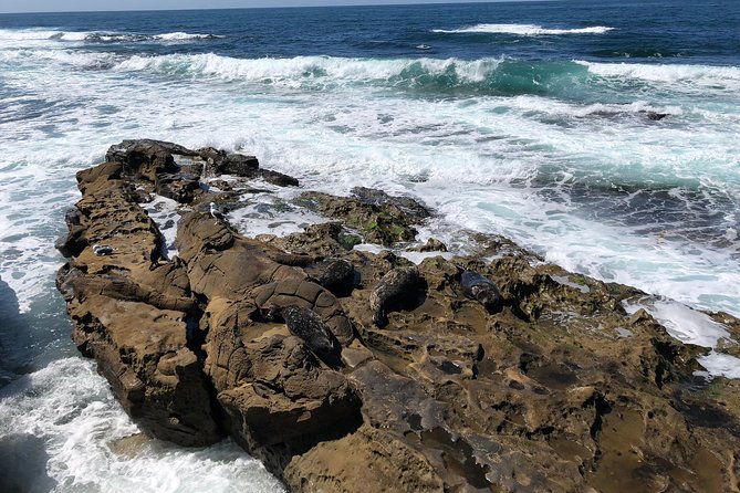 La Jolla Segway Tour - Sunny Jim Cave adds stairs and a little adventure