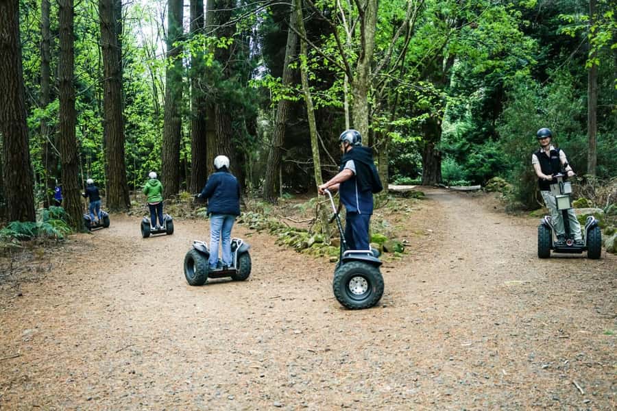 Launceston: Hollybank Forest Guided Segway Tour with Photos - Key points at a glance