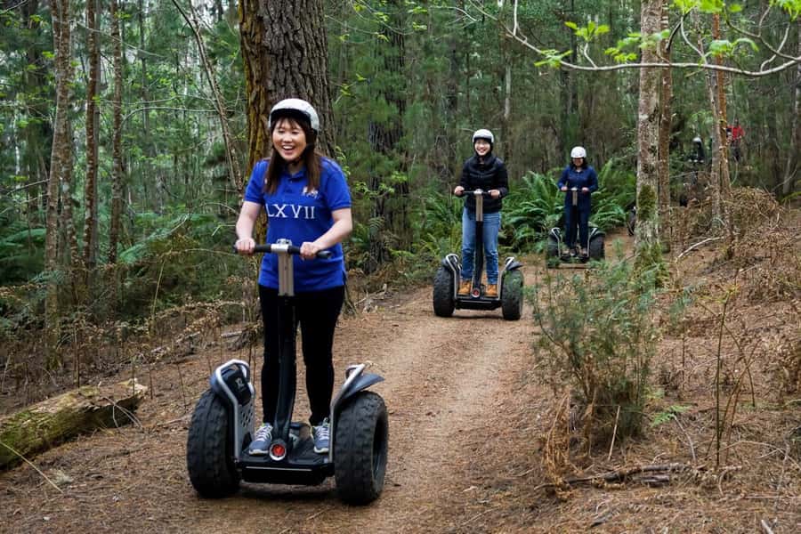 Launceston: Hollybank Forest Guided Segway Tour with Photos - Why Hollybank Forest works well for a Segway outing