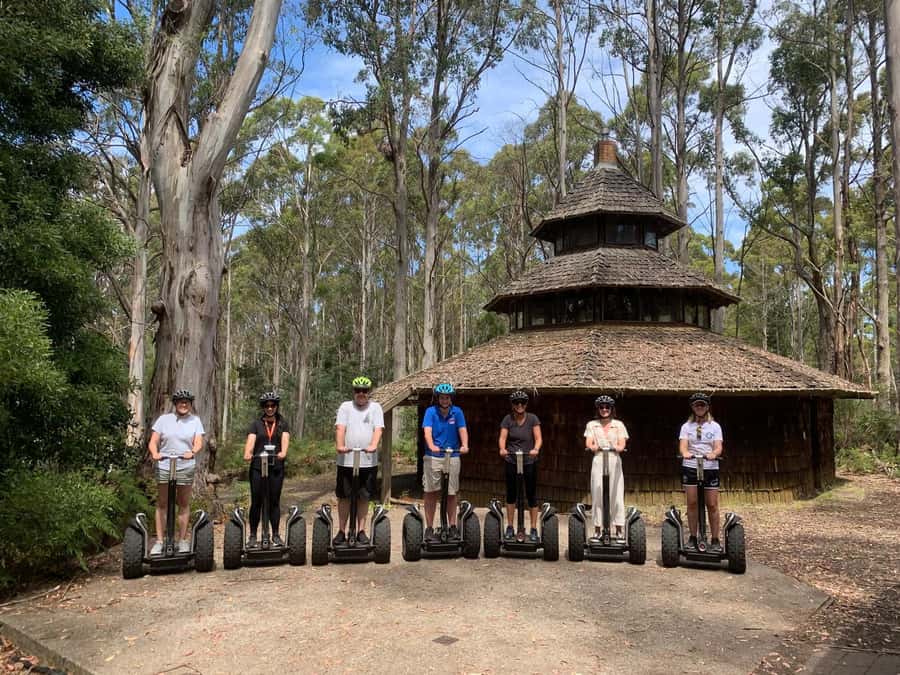 Launceston: Hollybank Forest Guided Segway Tour with Photos - What happens during the 90-minute tour