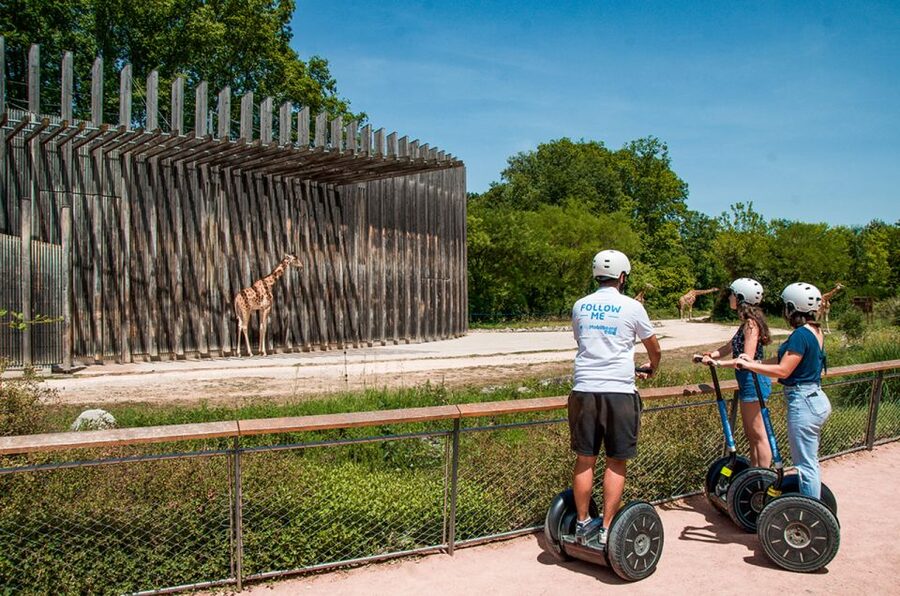 Lyon: City Segway Tour with a Local Guide - Tête d’Or Park: the longest and most relaxed section