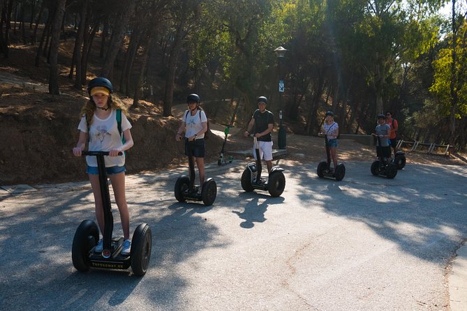 Malaga City Tour 1 Hour Panoramic Segway Tour - What the guide can add to the experience