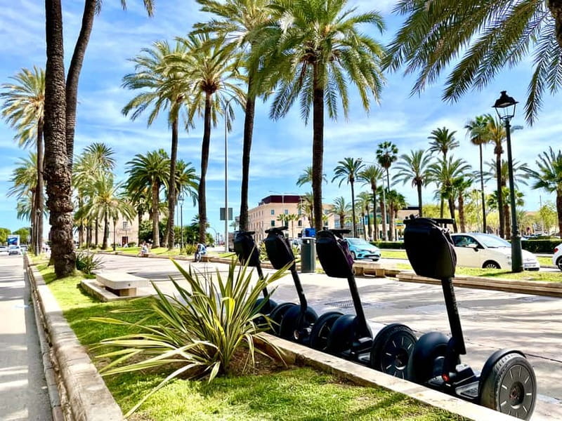 Mallorca: 2.5 H Sightseeing Segway Tour with Local Guide - Is $100 a fair price?