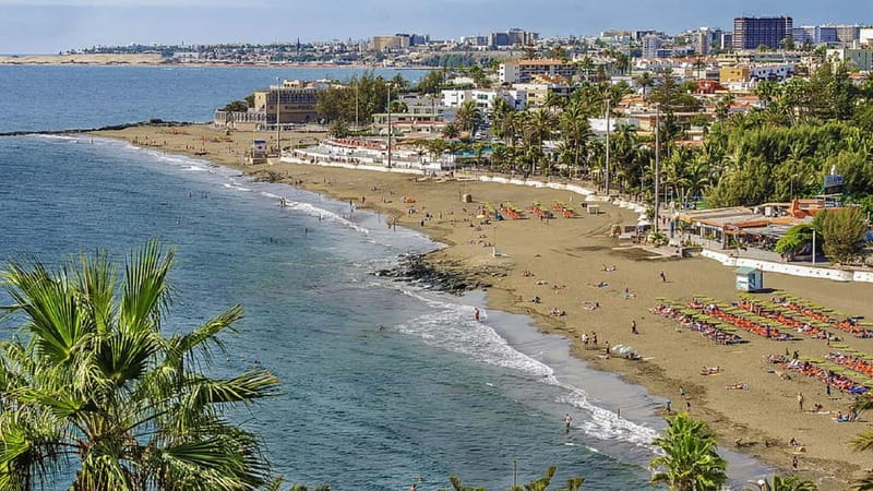 Maspalomas: 1 Hour Segway Sightseeing Tour - Who should book this ride?