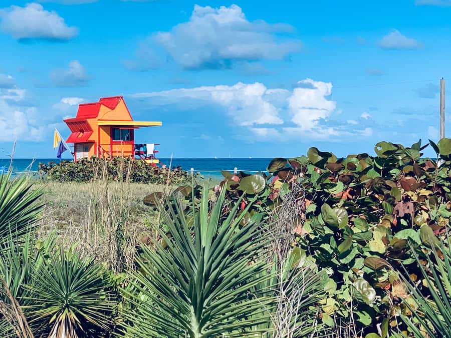 Miami Beach: 1-Hour Segway Glide - Final call: book it for a quick, active South Beach overview
