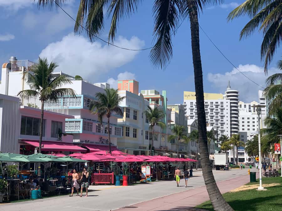 Miami Beach: 1-Hour Segway Glide - Why a one-hour Segway ride works in Miami Beach
