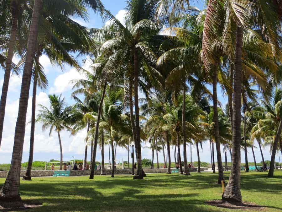 Miami Beach: 1-Hour Segway Glide - The guide makes the difference