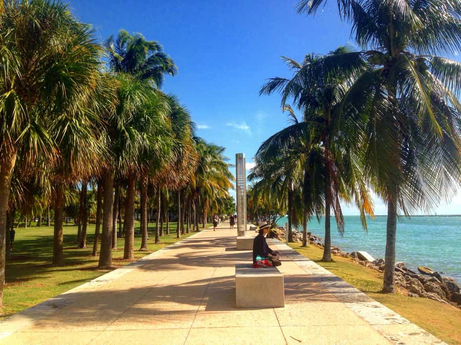 Miami Beach: 1-Hour Segway Glide - Who should book it