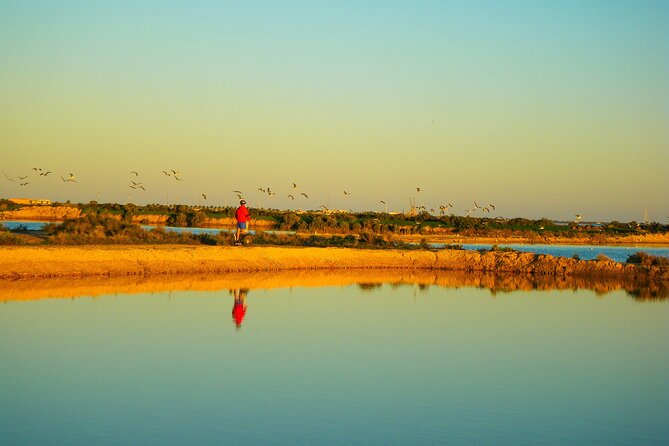 Natural Park Segway Tour with Seafood Lunch in Faro Island - What the private format adds