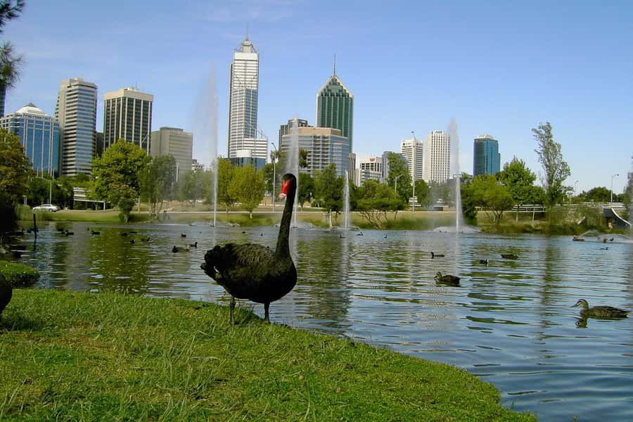 Perth Riverside Segway Tour - Key points to know before you book