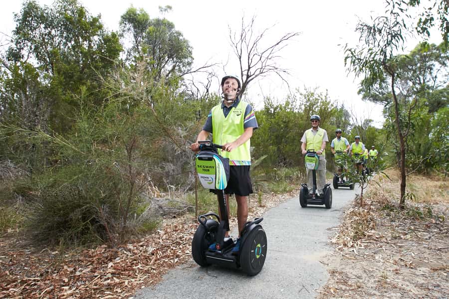 Perth Segway 1.5 Hour Kings Park Tour - Key points at a glance