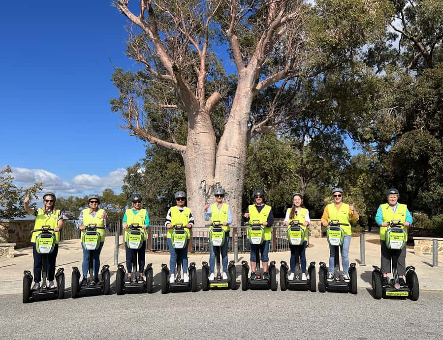 Perth Segway 1.5 Hour Kings Park Tour - What the guide can add to the experience