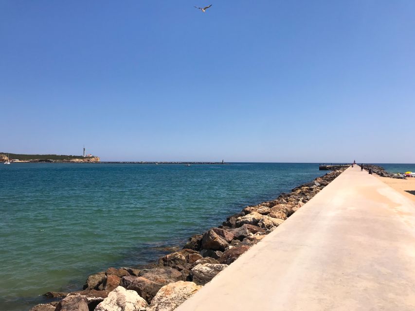Portimão: 1.25-Hour Segway Tour - Gliding along the Portimão marina