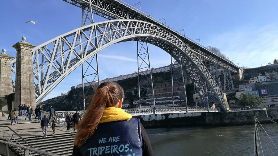 Porto: City Highlights Guided Segway Tour - Key points to know before you book