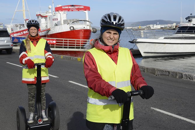 Reykjavik Segway Tour - Is $195 a Fair Price?